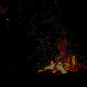 Meet your Posher, Junior